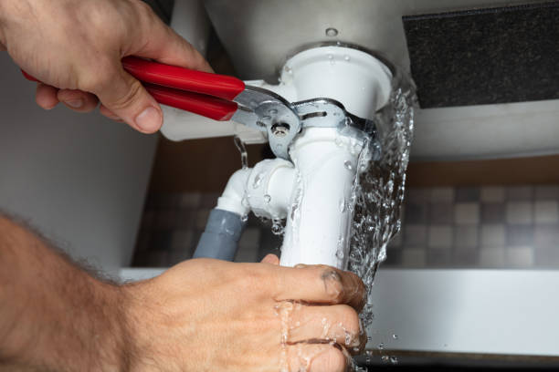 Best Mold removal after water damage  in Belle, MO
