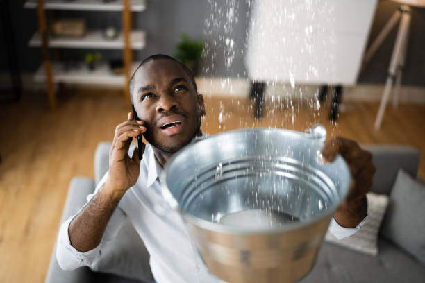 Best Water damage restoration specialists  in Belle, MO