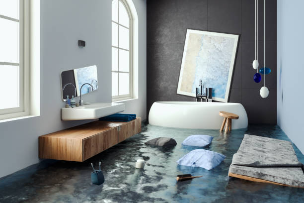 Best Local water damage restoration  in Belle, MO