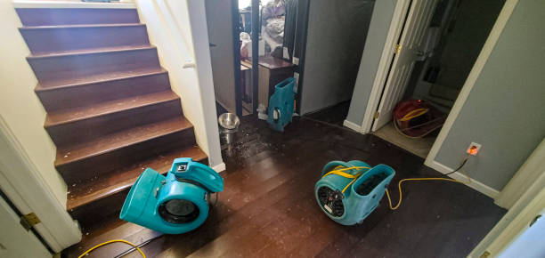 Best Flood damage cleanup  in Belle, MO