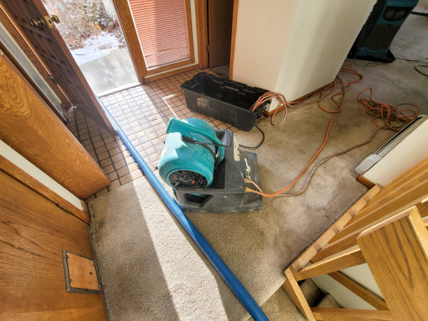 Best Carpet water damage restoration  in Belle, MO