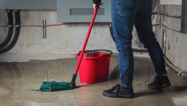 Water damage restoration mold remediation in Belle, MO
