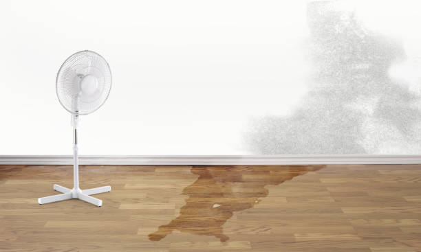 Carpet water damage restoration in Belle, MO