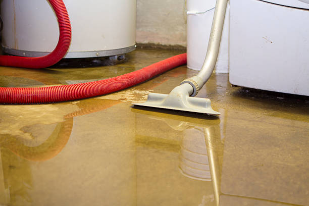 Professional Water damage restoration in Belle, MO