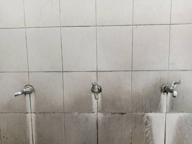 Best Carpet water damage restoration  in Belle, MO