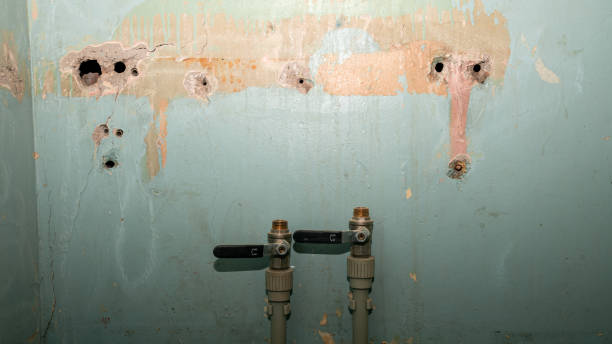 Best Water damage contractors near me  in Belle, MO