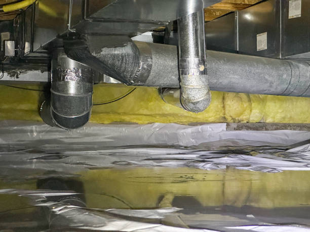 Best Water damage restoration specialists  in Belle, MO