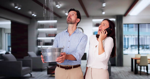 Best Flood restoration services  in Belle, MO