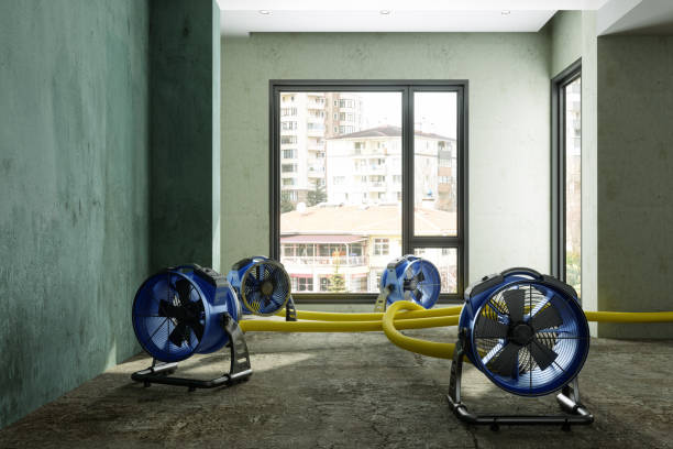 Best 24-hour water damage restoration  in Belle, MO