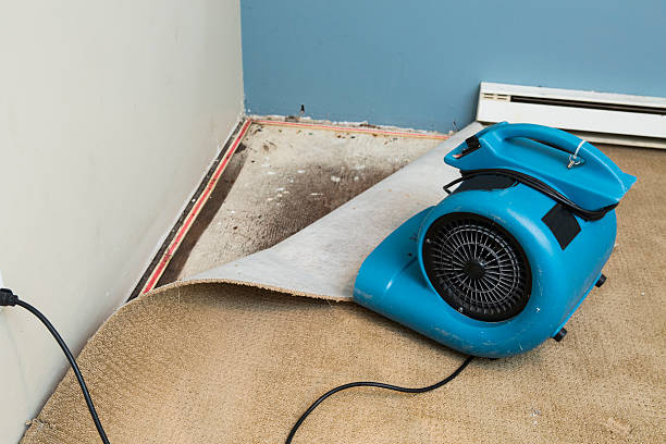 Sewage cleanup and water damage restoration in Belle, MO